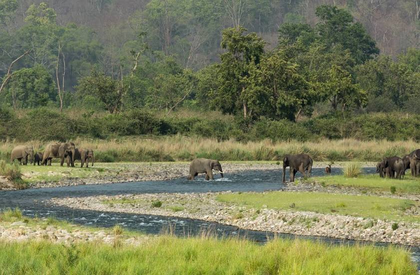 jim corbett tour and travel